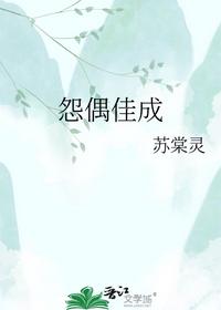 怨偶佳成